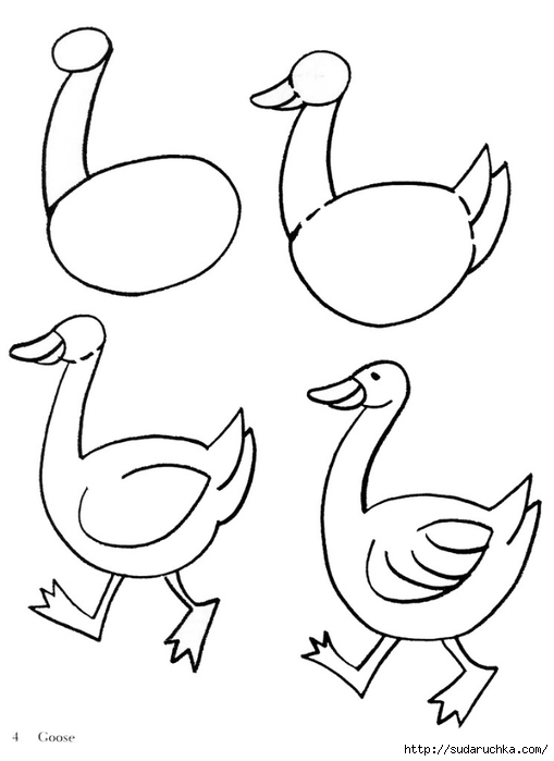 Рисунки сказочные птицы для срисовки (70 фото) ✏