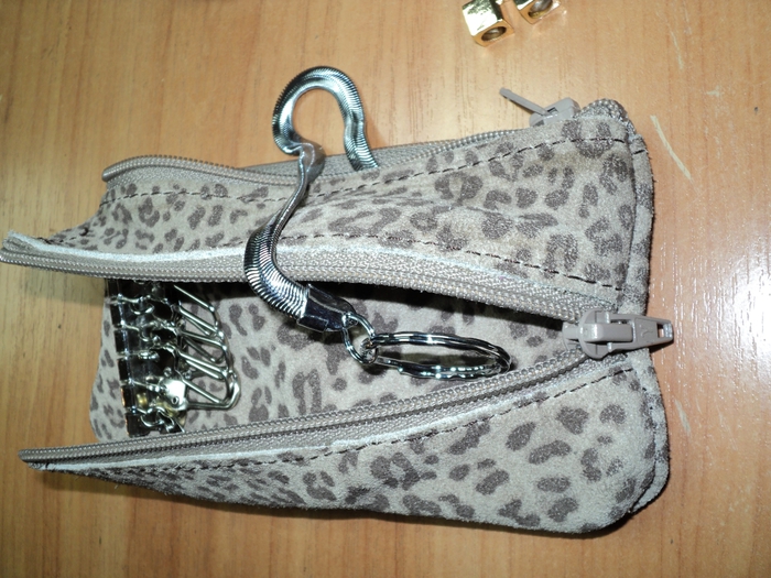DSC04853 (700x525, 310Kb)