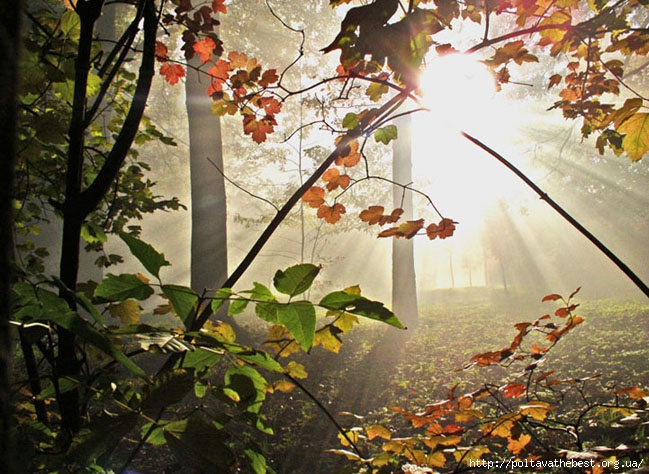 1346575913_krasivie_osennie_kartinki_457_279-53 (649x474, 266Kb)