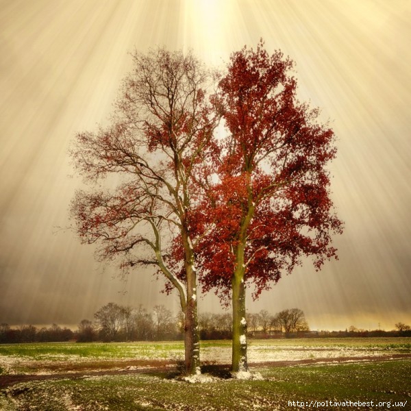 1346667460_krasivie_osennie_kartinki_457_279-38 (600x600, 252Kb)