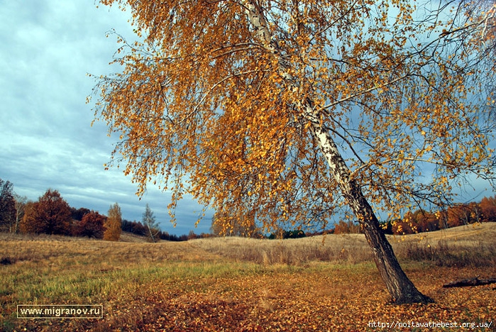 1346863665_krasivie_kartinki_osen_256_267-55 (700x468, 455Kb)