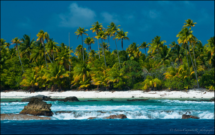 tetiaroa (1) (700x441, 255Kb)