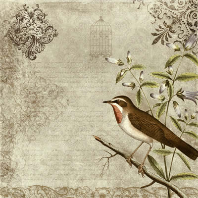 textures_bird_vintage_texture (400x400, 36Kb)