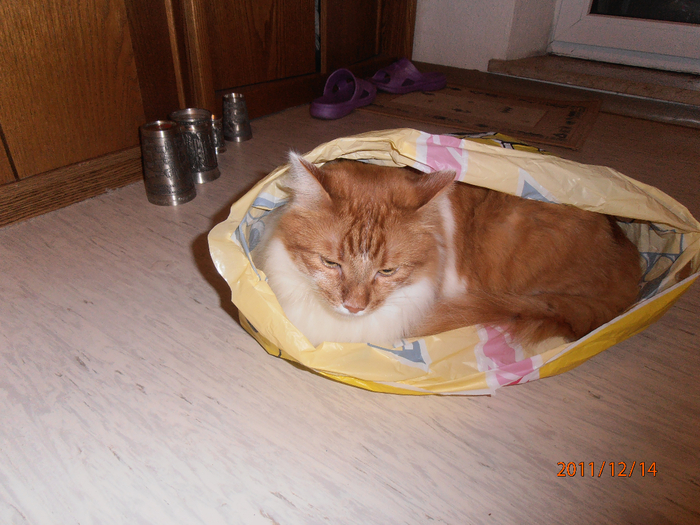 005 (700x525, 468Kb)