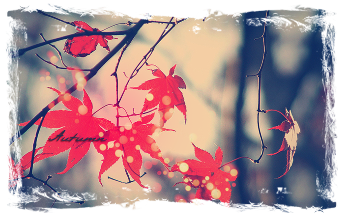 1258702_reWalls_com48732_kopiya_1_ (700x448, 538Kb)