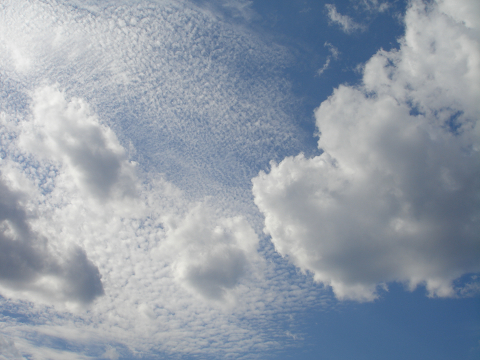 DSC00095 (700x525, 394Kb)