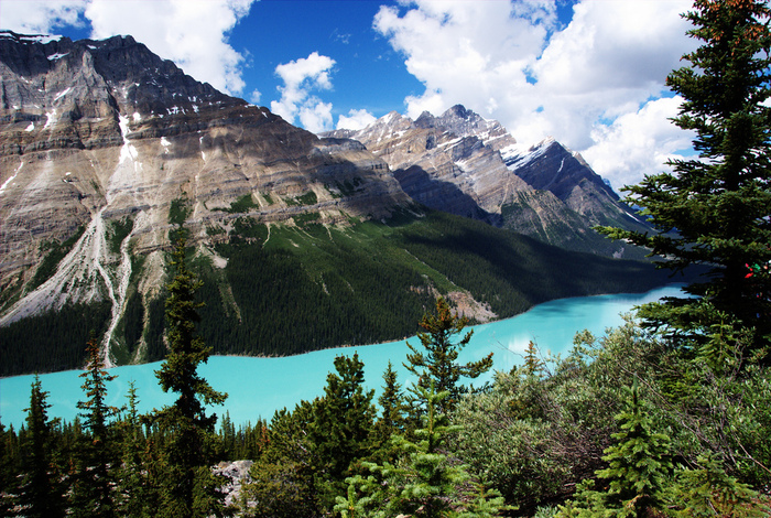 peyto lake (3) (700x470, 322Kb)