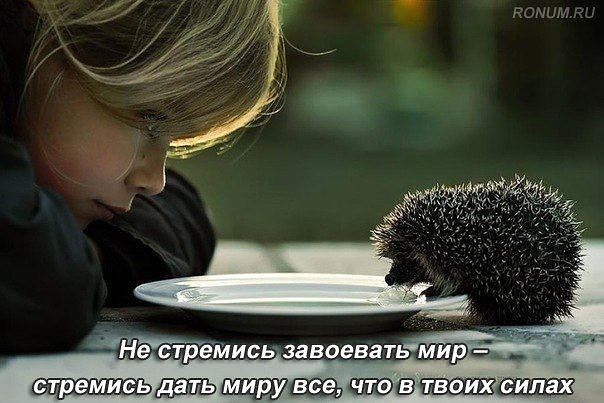 10 (604x403, 54Kb)