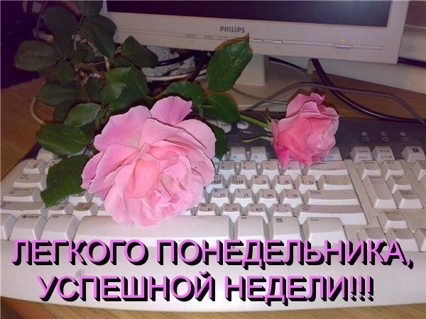 http://img1.liveinternet.ru/images/attach/c/6/92/439/92439999_Legkogo_ponedelnika_pionuy_na_klavyu_komp.jpg