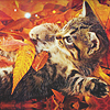 wallpapers_cats (100x100, 37Kb)