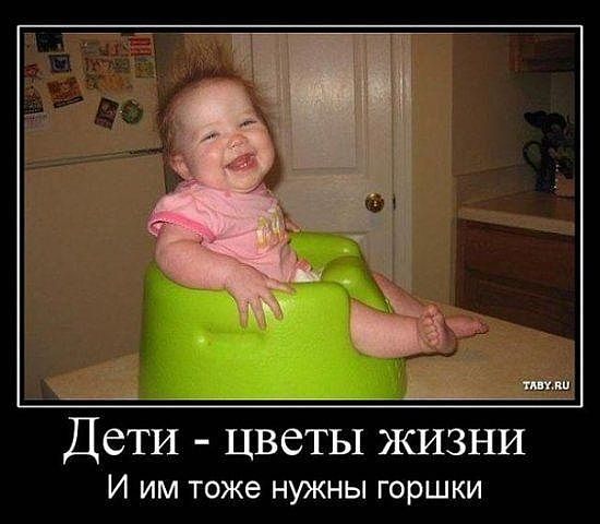 12 (550x480, 38Kb)