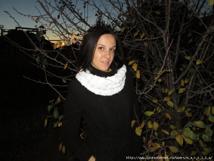 IMG_0542 (700x525, 214Kb)