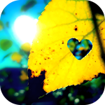 19 (150x150, 37Kb)