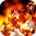 16 (150x150, 39Kb)