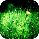1 (150x150, 55Kb)