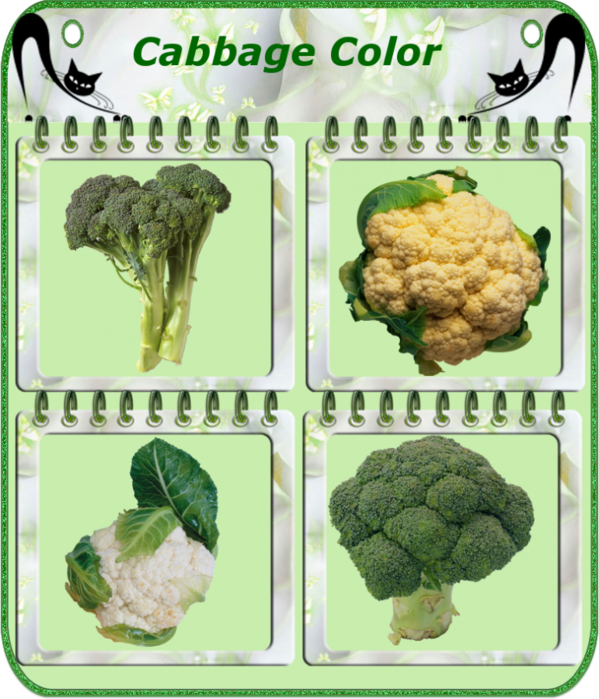 4865645_01Cabbage_Color (599x700, 625Kb)