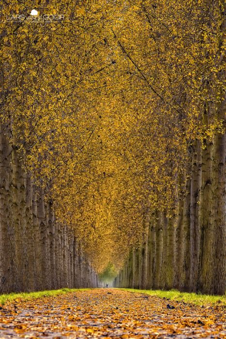 incrediv (467x700, 152Kb)