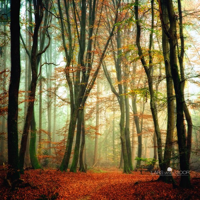 incredjI (700x700, 179Kb)