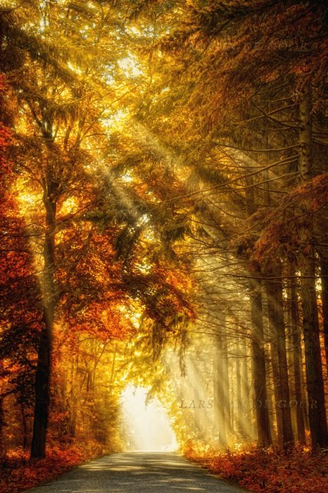 incredk3 (466x700, 121Kb)