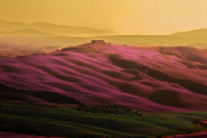 incredkD (700x467, 28Kb)