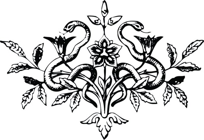 244_800x552 (700x483, 78Kb)