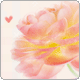 cncy_p_skin0004955_g (80x80, 5Kb)