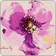 cncy_p_skin0004898_g (80x80, 3Kb)