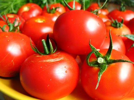 tomato (450x337, 29Kb)