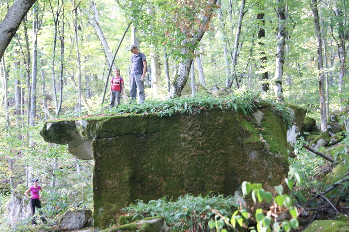 Крепостная Планческая щель