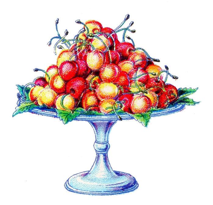 fruit-cherries-beetons-graphicsfairy004bg (700x673, 220Kb)