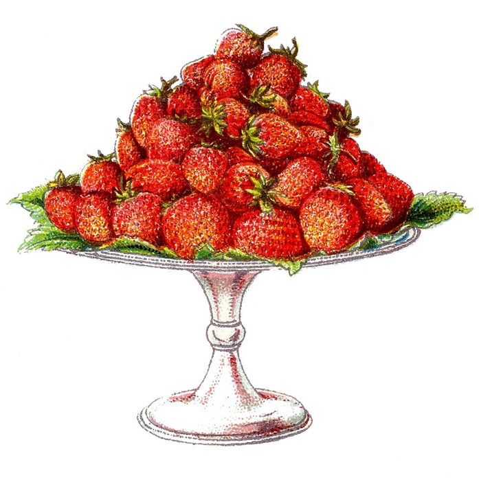 fruit-straweberries-beetons-graphicsfairy005a (697x700, 219Kb)