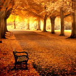 28 (150x150, 49Kb)