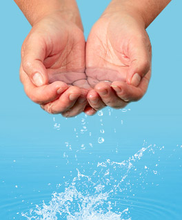 4721164_gortex_in2 (264x319, 25Kb)