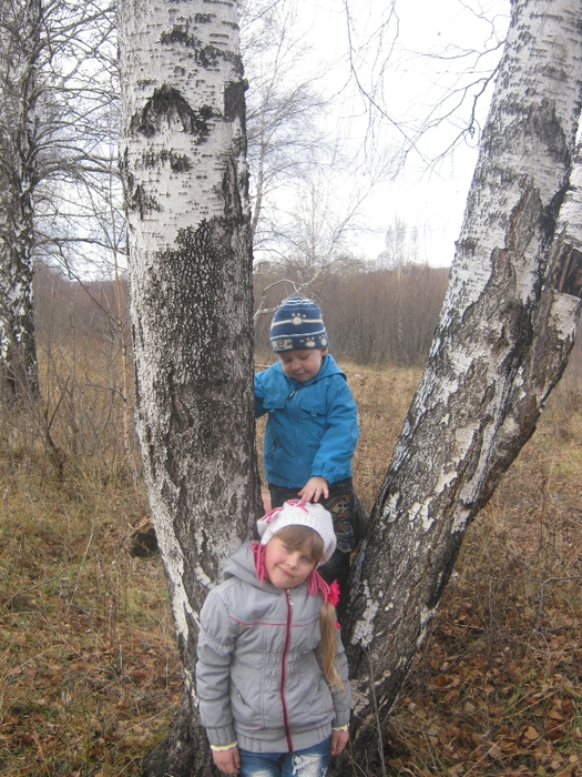 Фото зека на лесоповале