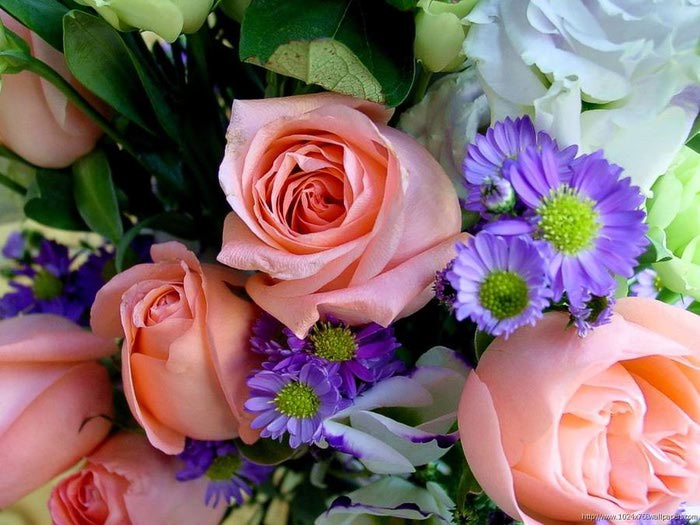 84468515_large_643752_flowers_1024x768_wallpaper_9 (700x525, 72Kb)