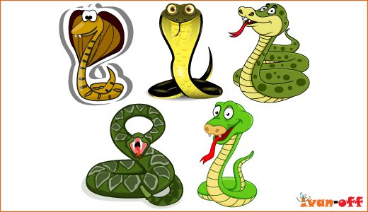 3521405_1341003391_2013symbolsnakevector1 (520x300, 37Kb)