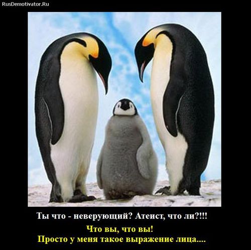 Что такое эльфинг в троллинге. Смотреть фото Что такое эльфинг в троллинге. Смотреть картинку Что такое эльфинг в троллинге. Картинка про Что такое эльфинг в троллинге. Фото Что такое эльфинг в троллинге