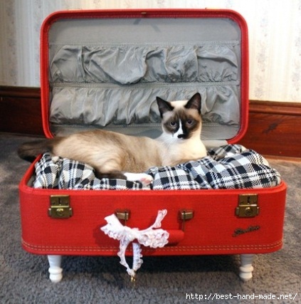 cat suitcase Haute Or Not Pets (423x427, 121Kb)