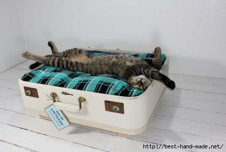 green-plaid-suitcase-bed-for-cats-e1341610392208 (440x297, 54Kb)