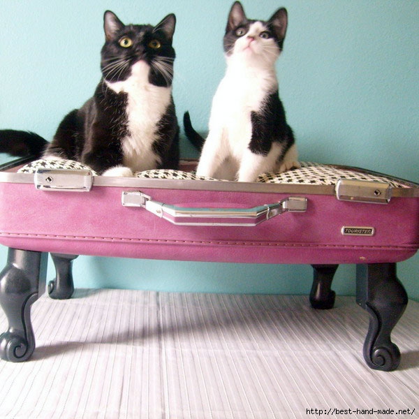 Pink-Suitcase-for-Sweet-Tuxedo-Cat (600x600, 211Kb)