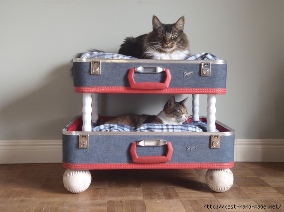 repurposed-suitcase-cat-bunkbed (570x427, 101Kb)