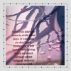 1350510143_crazykiraresources10 (100x100, 18Kb)