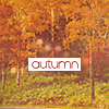2120684_autumn2 (100x100, 24Kb)