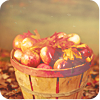 2120684_autumn9 (100x100, 24Kb)