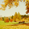 2120684_autumn20 (100x100, 22Kb)