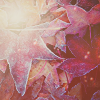 2120684_autumn25 (100x100, 20Kb)