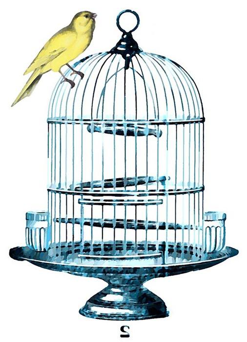 birdcage blue watercolor best transfer_thumb[3] (506x700, 96Kb)