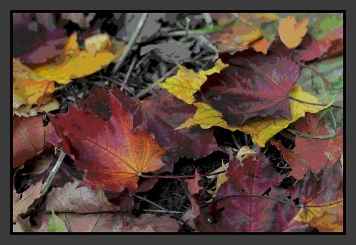 17sent_XI (700x482, 121Kb)