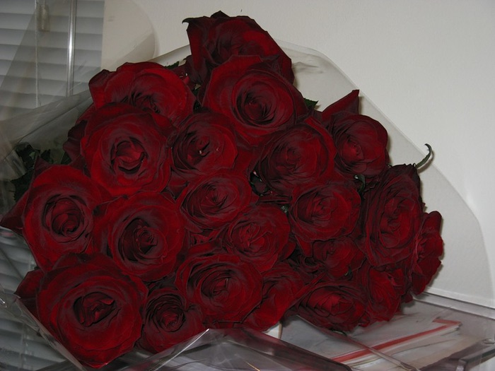 1415 роз. Букет роз дома. Букет красных роз на кровати. Букет роз на полу.