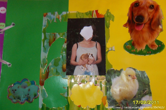 SDC12574 (700x466, 265Kb)